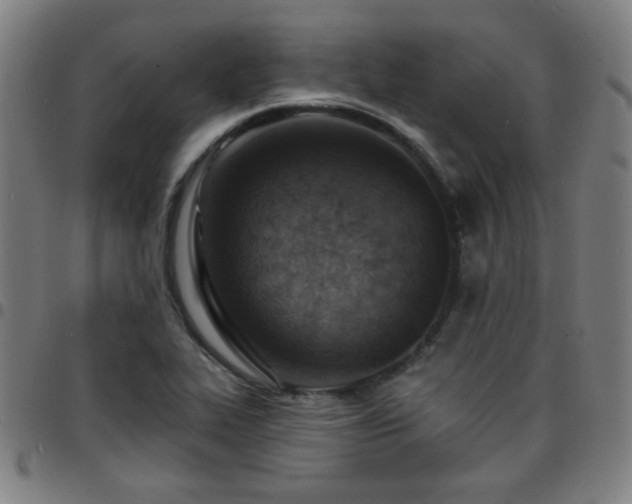X0000097671319200803071546