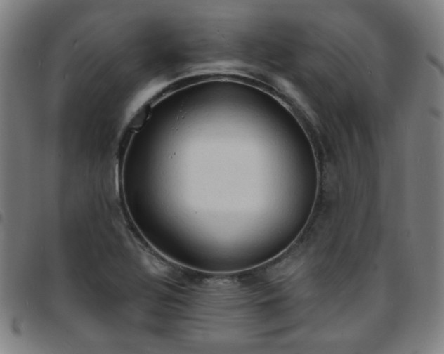 X0000097671320200803071546