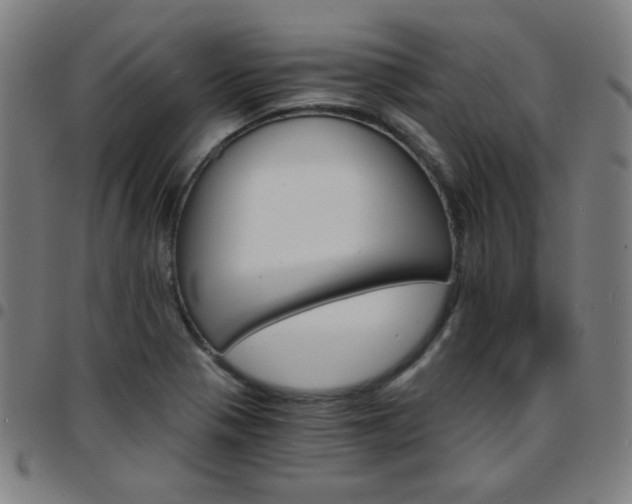 X0000097671321200803071546