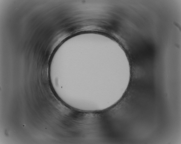 X0000097671322200803071546