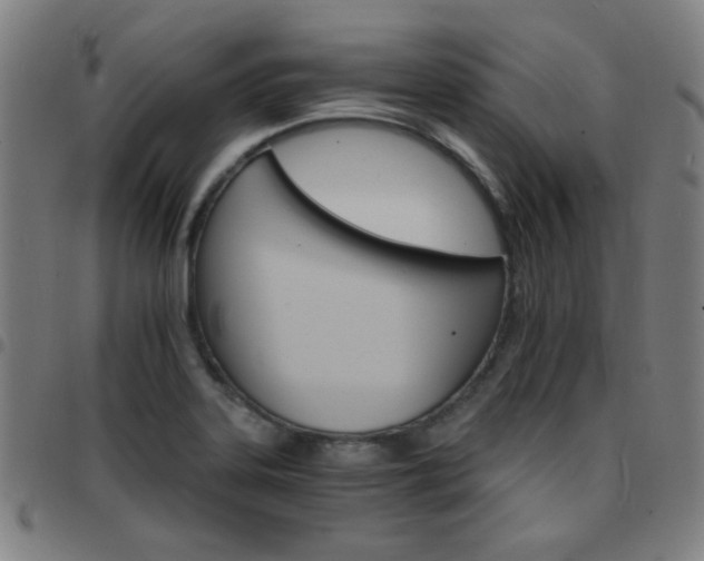 X0000097671323200803071546