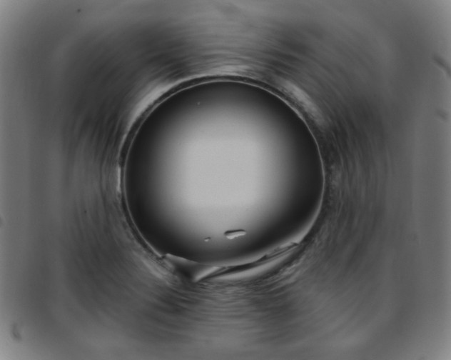 X0000097671324200803071546
