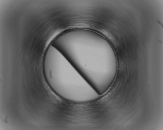 X0000097671325200803071546