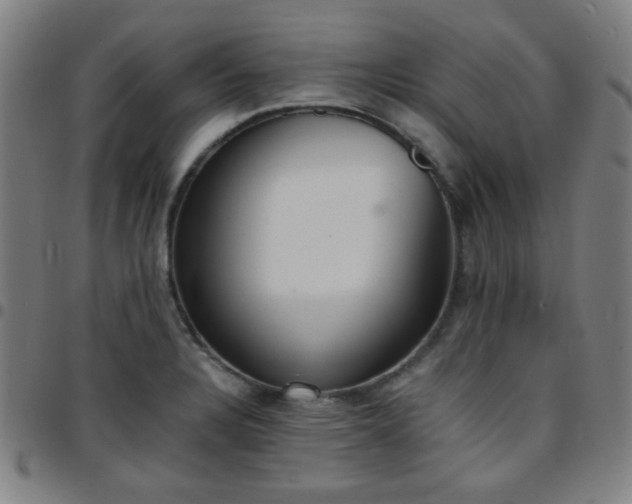 X0000097671328200803071546