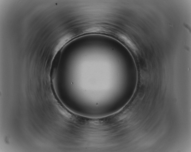 X0000097671330200803071546