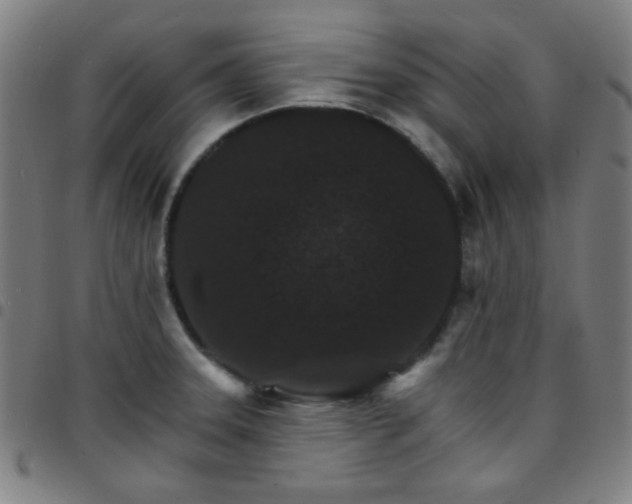 X0000097671331200803071546