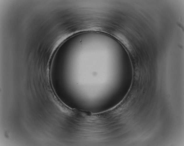 X0000097671332200803071546
