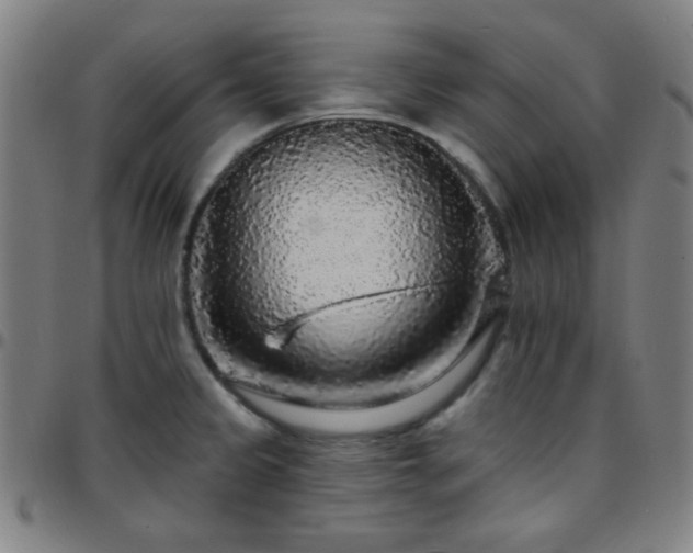 X0000097671333200803071546