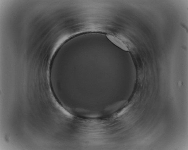 X0000097671334200803071546