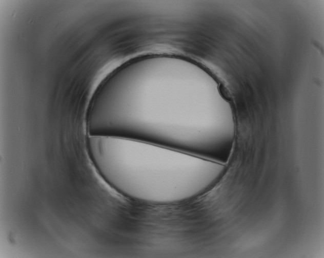 X0000097671335200803071546