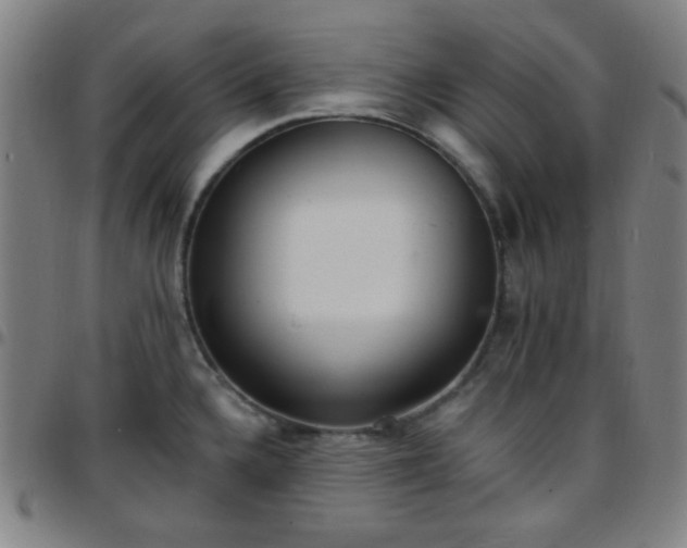 X0000097671336200803071546