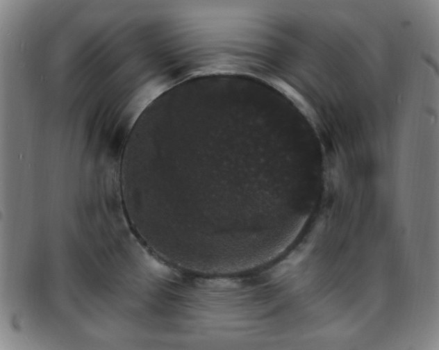 X0000097671337200803071546