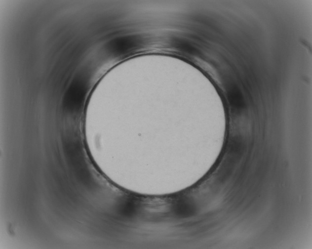 X0000097671338200803071546