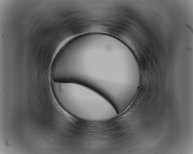 X0000097671339200803071546