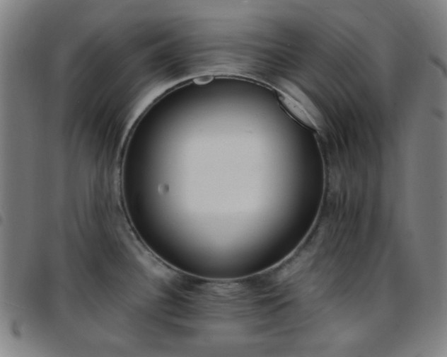 X0000097671340200803071546