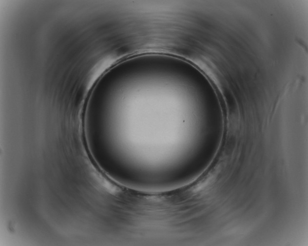 X0000097671341200803071546