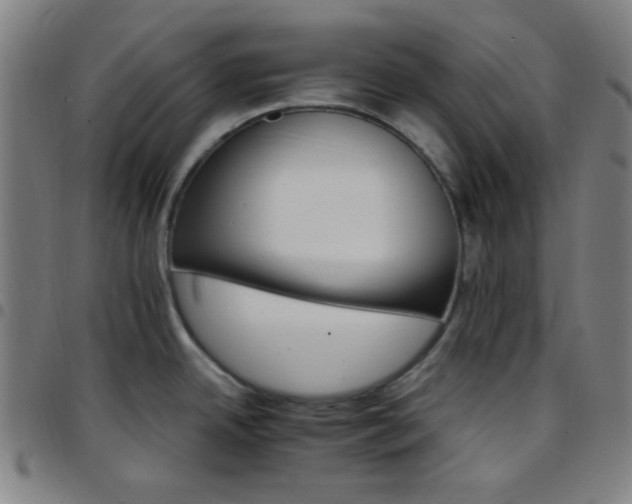 X0000097671342200803071546