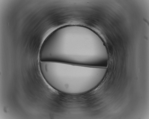 X0000097671343200803071546