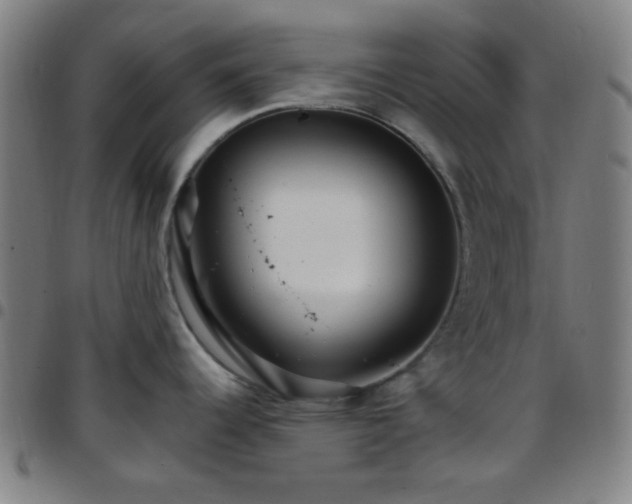 X0000097671344200803071546