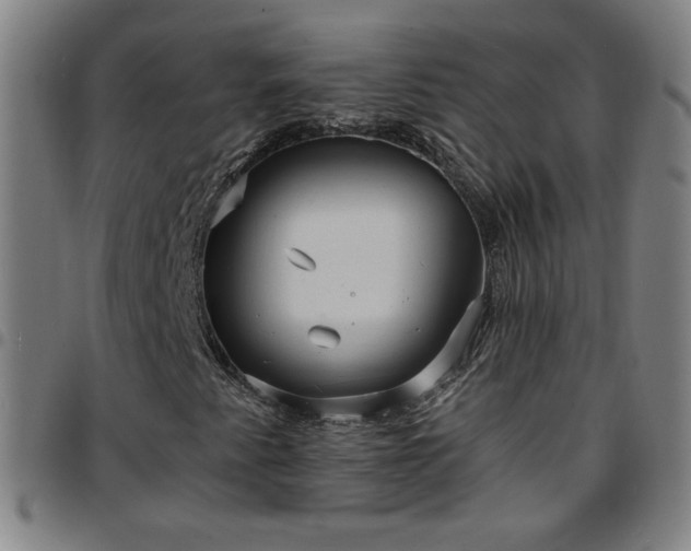 X0000097671345200803071546