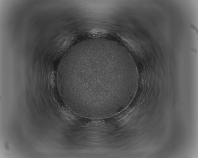 X0000097671346200803071546