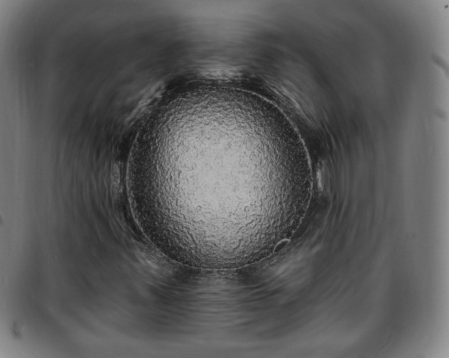 X0000097671347200803071546