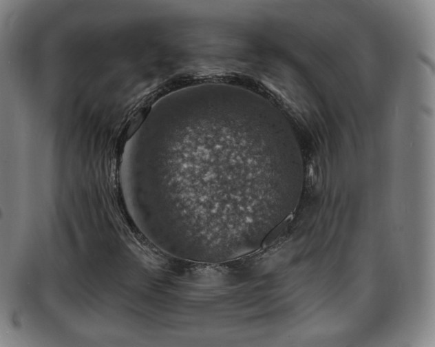 X0000097671348200803071546