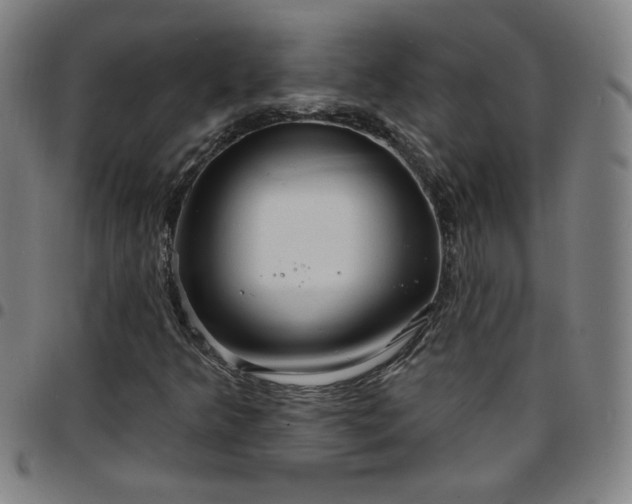 X0000097671349200803071546