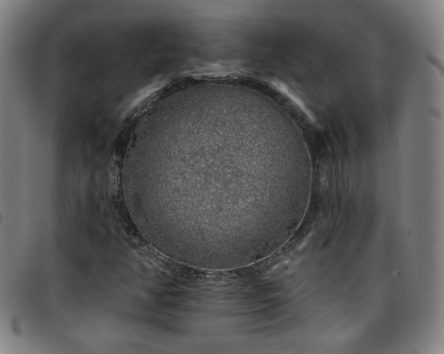X0000097671350200803071546