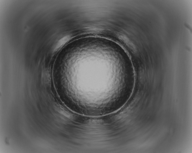 X0000097671354200803071545