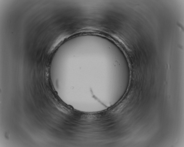 X0000097671355200803071545