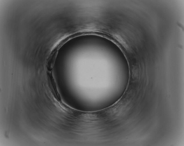 X0000097671356200803071545