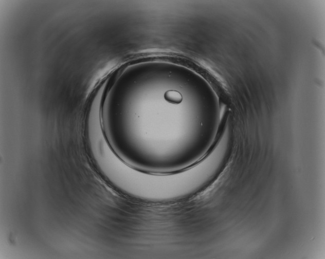 X0000097671357200803071545