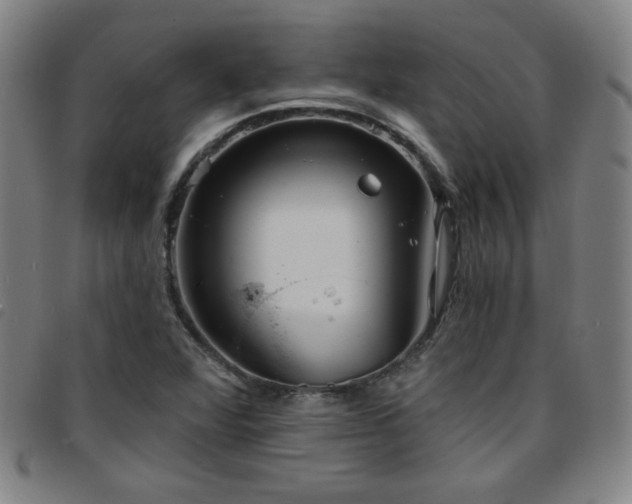 X0000097671360200803071545
