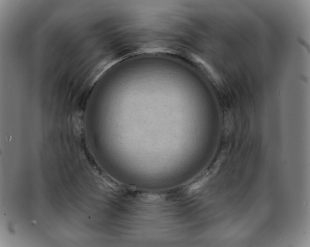 X0000097671361200803071545