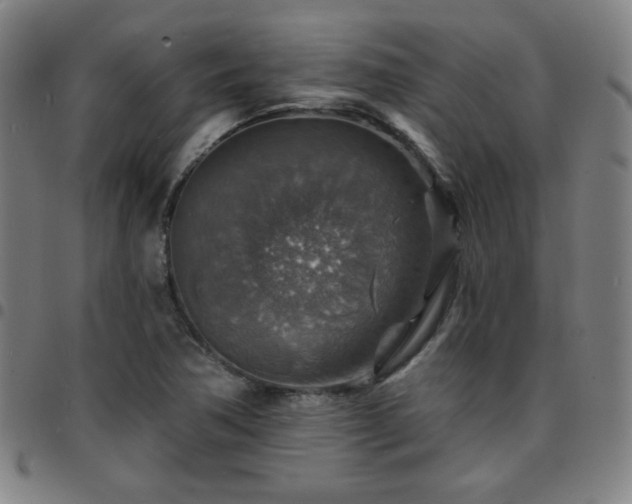 X0000097671362200803071545