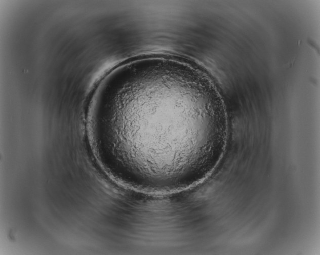 X0000097671363200803071545