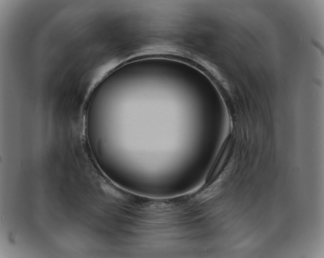 X0000097671366200803071545