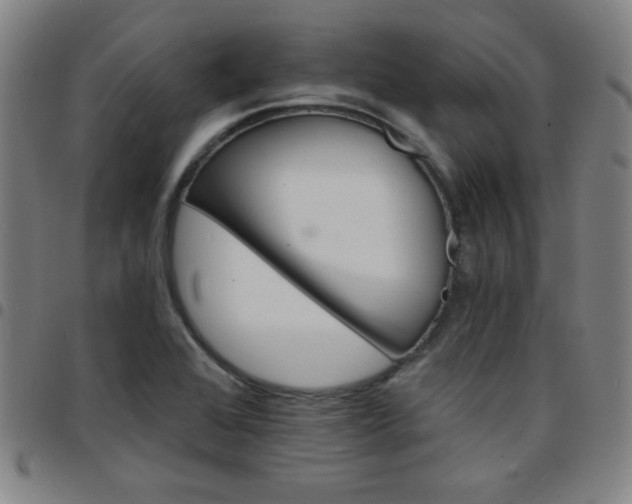 X0000097671368200803071545