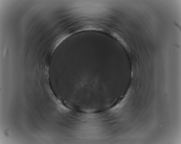 X0000097671369200803071545