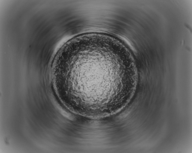 X0000097671371200803071545