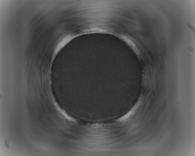X0000097671373200803071545