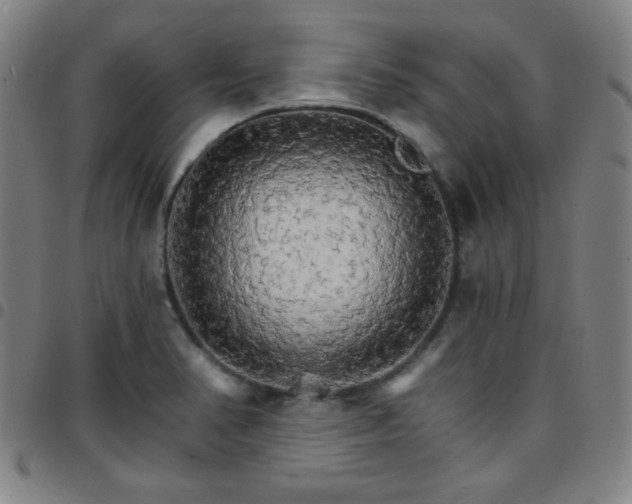 X0000097671374200803071545
