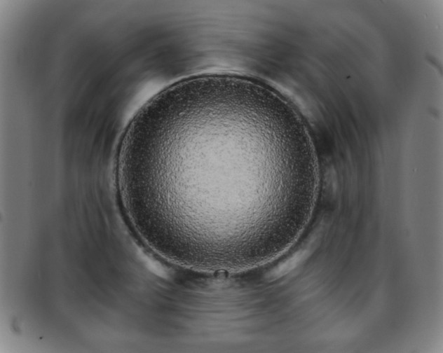 X0000097671375200803071545
