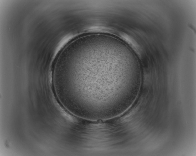 X0000097671376200803071545