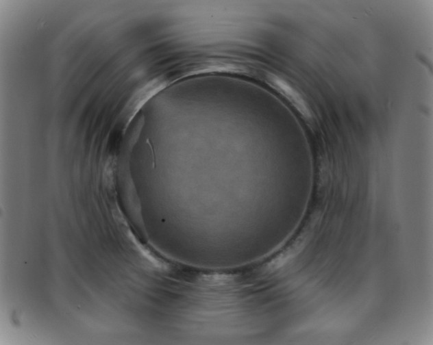 X0000097671377200803071545