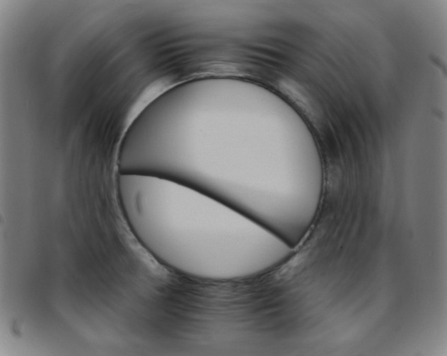 X0000097671378200803071545