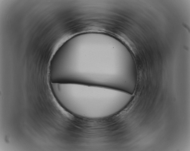 X0000097671379200803071545