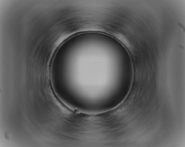 X0000097671380200803071545