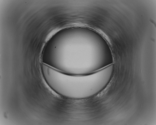 X0000097671381200803071545